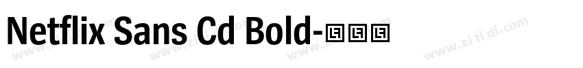 Netflix Sans Cd Bold字体转换